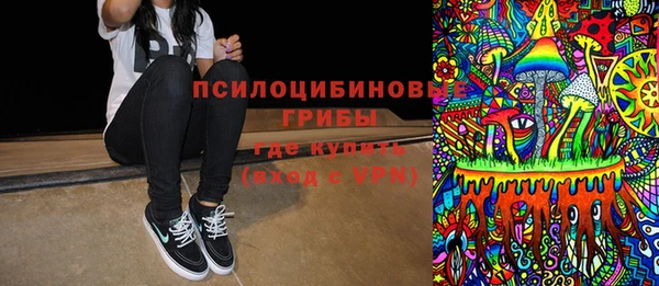 кокс Алексин