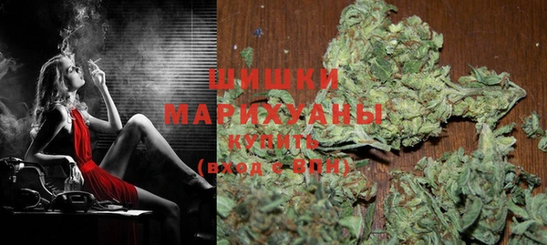 молекула духа Новозыбков